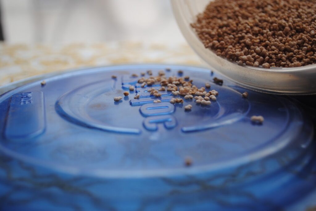 puffed buckwheat cereal