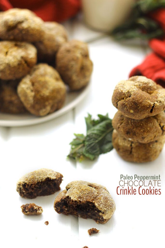 Paleo Peppermint Chocolat eCrinkle Cookies + 4 More Paleo Cookie Recipes