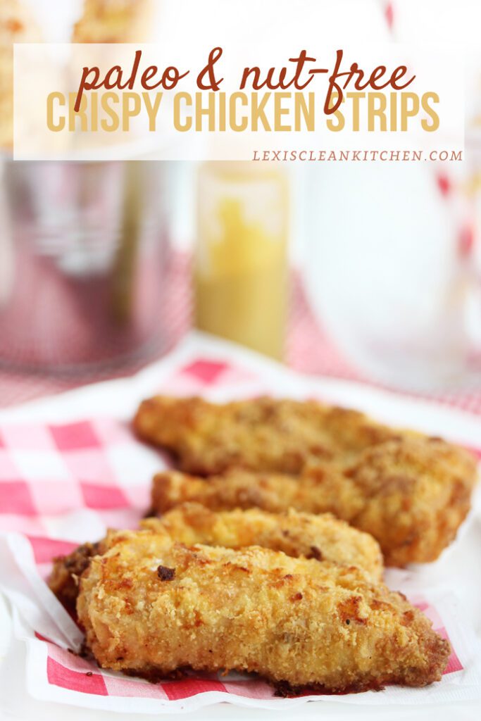 #Paleo and Nut-Free Crispy Chicken Strips plus Healthy Back-to-School Recipes