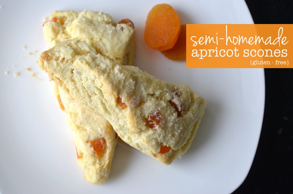 gluten free apricot scones