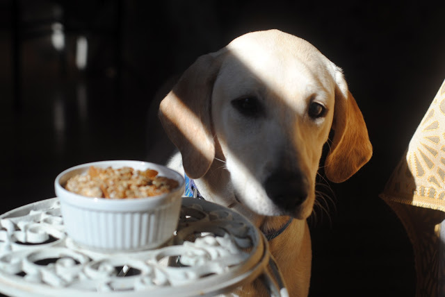 apricot coconut granola