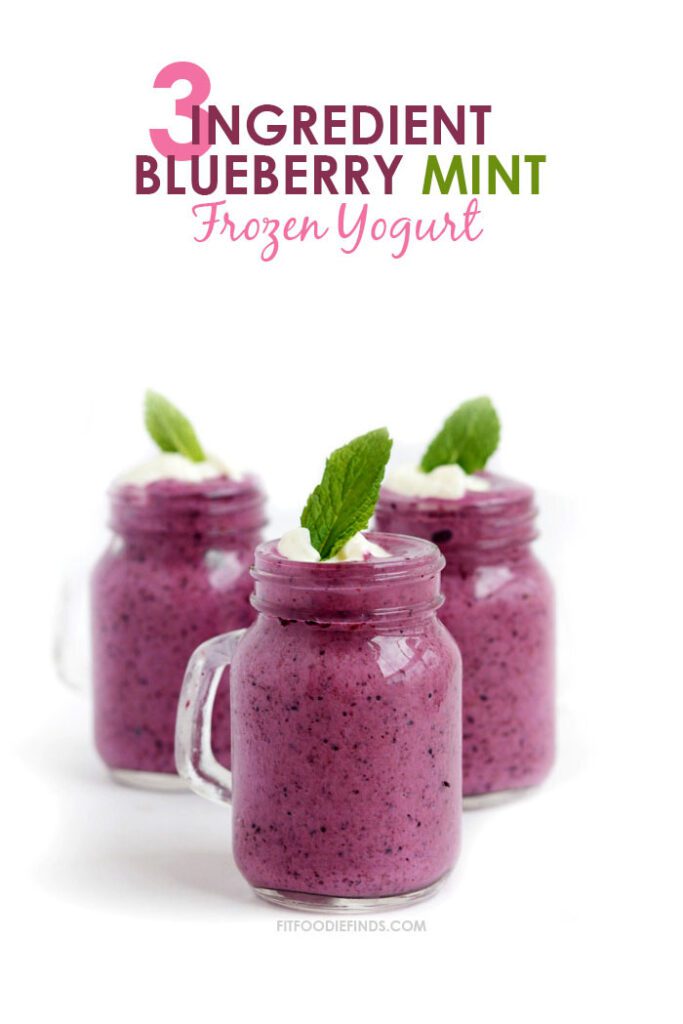 Three-Ingredient Blueberry Mint Frozen Yogurt