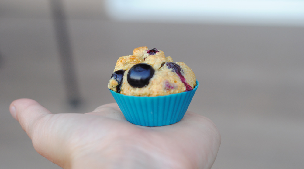 Blueberry Corn Muffins