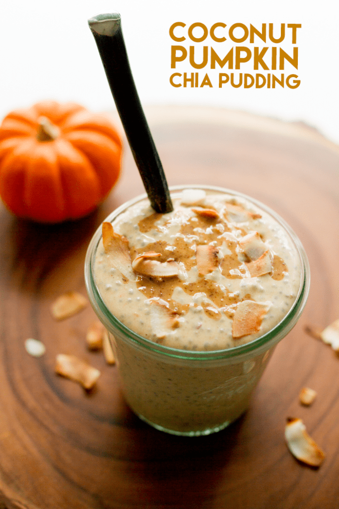 Pumpkin, coconut milk and chia seeds are combined and topped with toasted coconut flakes and an almond butter drizzle to make a thick and creamy chia pudding that's paleo-friendly, vegan and great for breakfast or as a snack. 