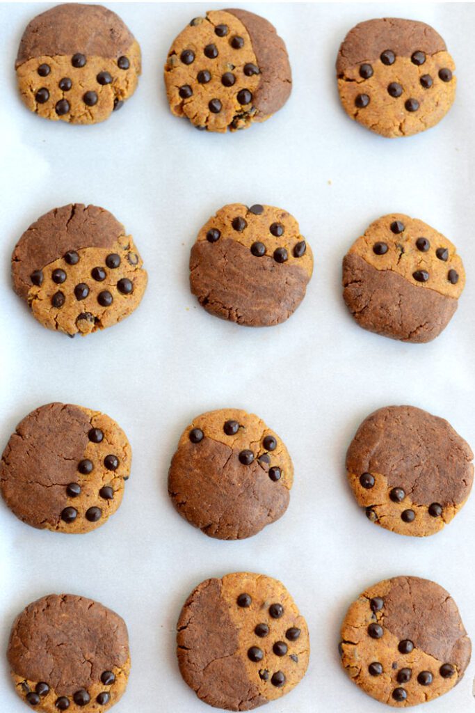 These paleo brookies are a fusion between a classic chocolate chip cookie and a brownie. Best part is- they're grain-free and high protein!