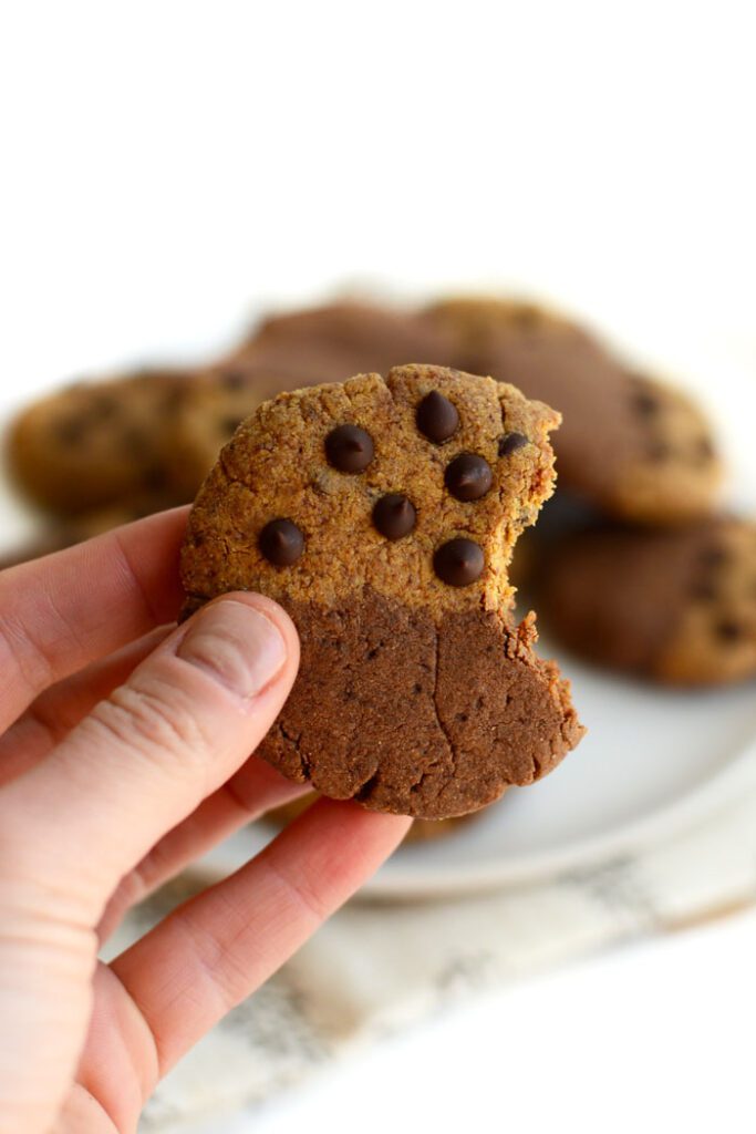 These paleo brookies are a fusion between a classic chocolate chip cookie and a brownie. Best part is- they're grain-free and high protein!