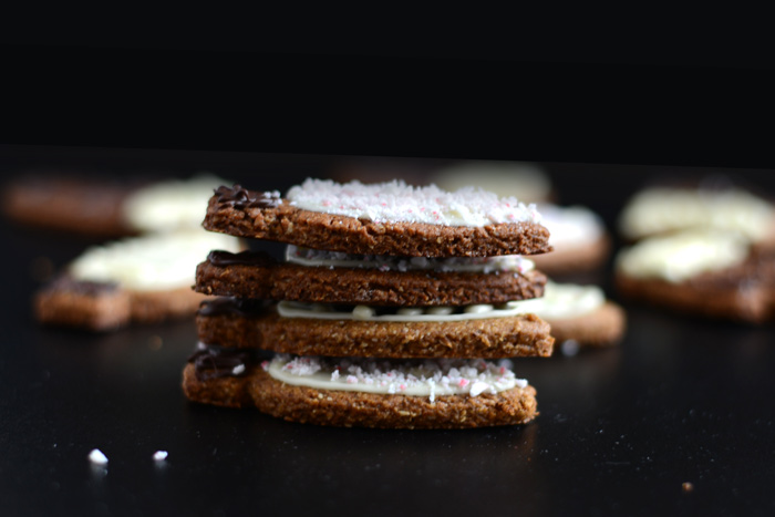 Gluten Free Graham Crackers- a perfect cookie cut-out recipe for the holidays!