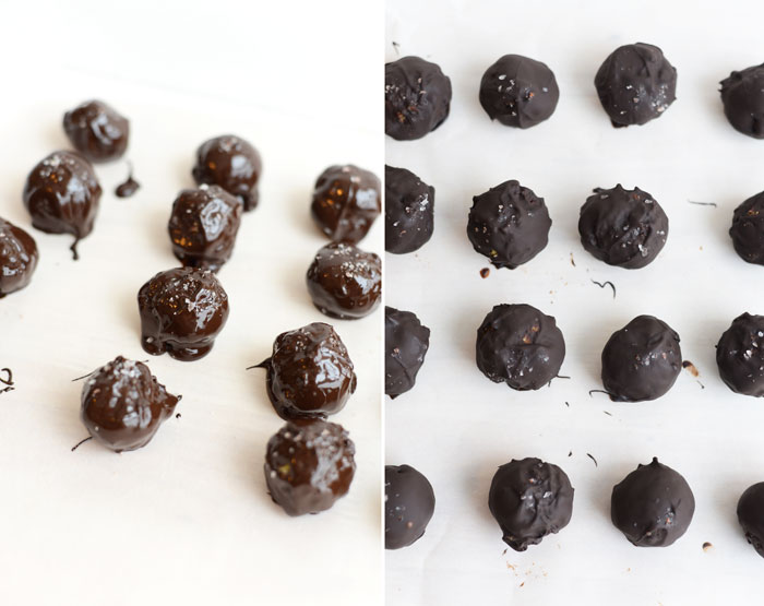 Coconut Apricot Truffles with Himalayan Sea Salt