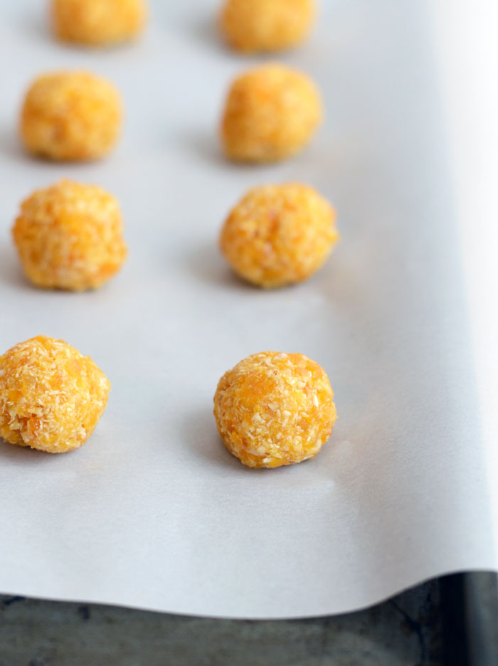 Coconut Apricot Truffles with Himalayan Sea Salt