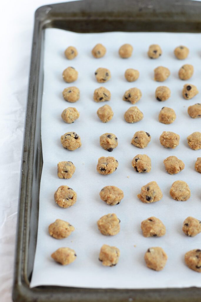 Frozen Vegan Chocolate Chip Cookie Dough Bites