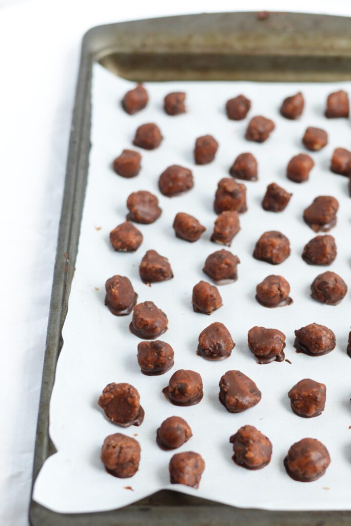 Frozen Vegan Chocolate Chip Cookie Dough Bites