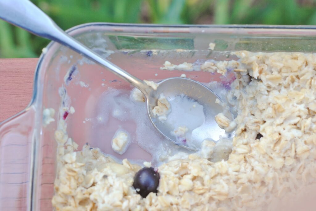 Blueberry Oatmeal Bake