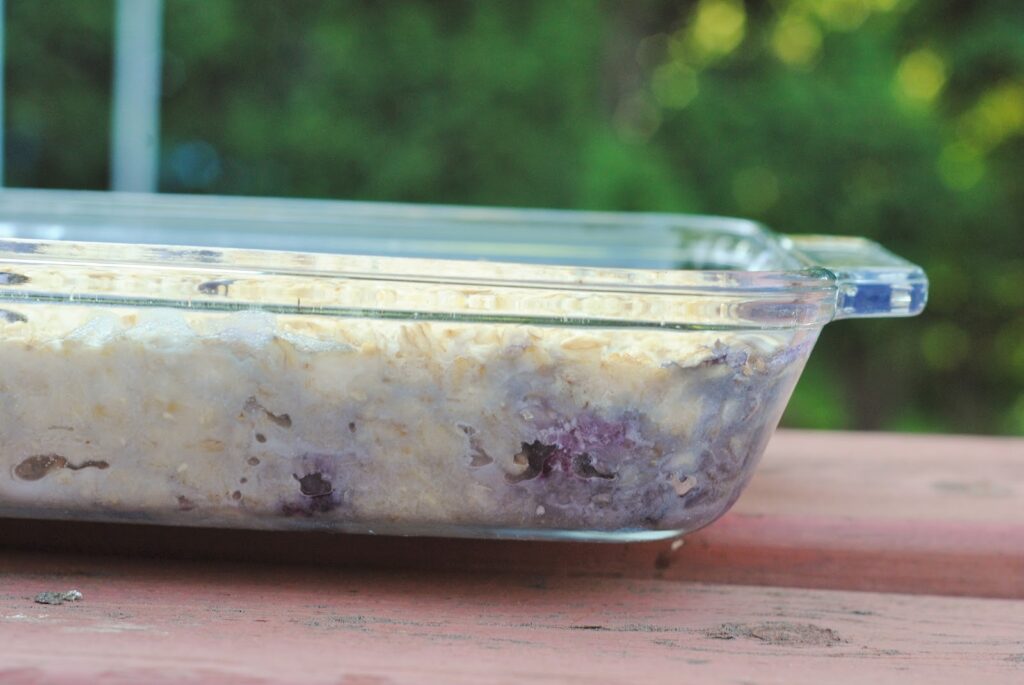 Blueberry Oatmeal Bake