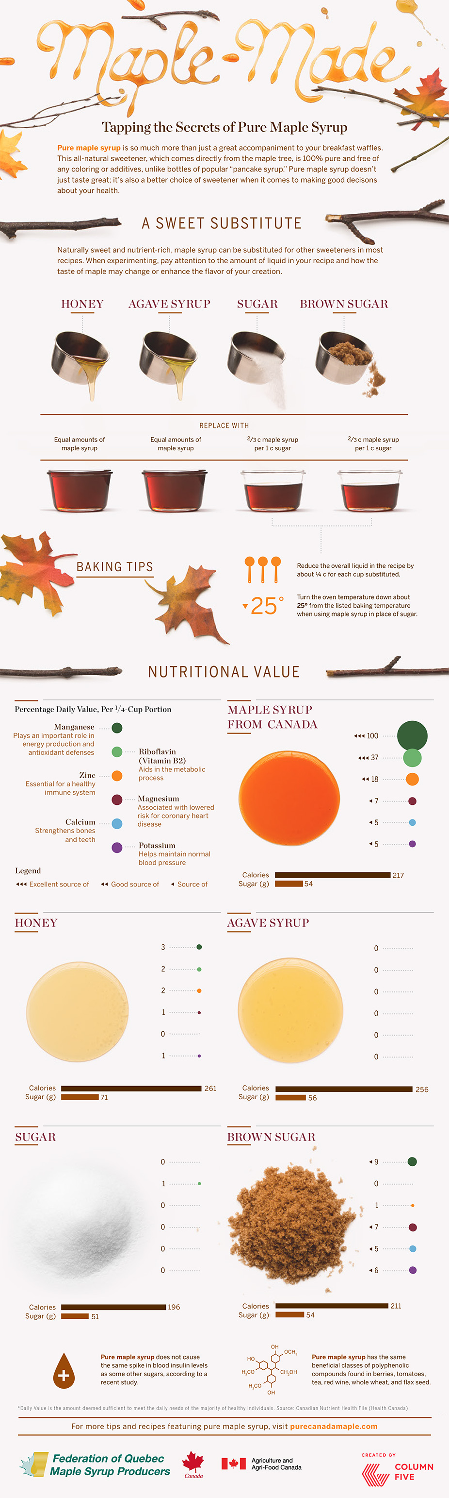 Maple Sugar Alternative Infographic #MapleSyrup #Vegan #GlutenFree