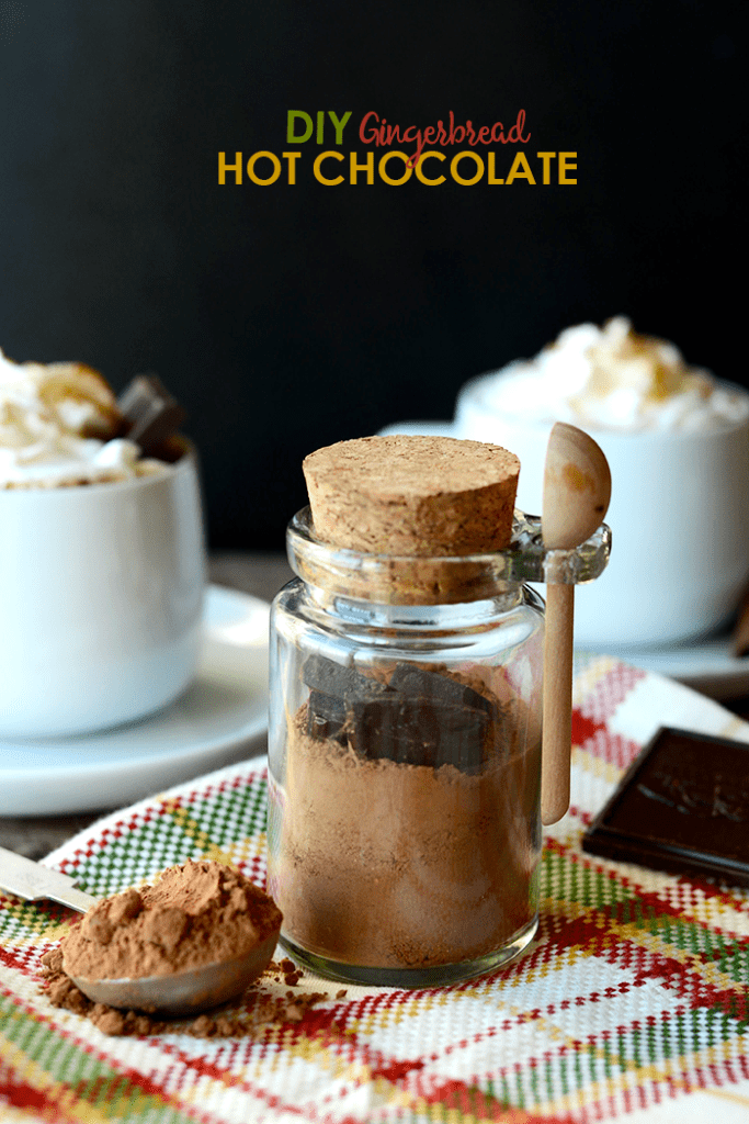 Get creative with your hot chocolate and add a delicious mixture of spices to make it taste like Gingerbread! It's vegan, paleo, and gluten-free friendly. SCORE!