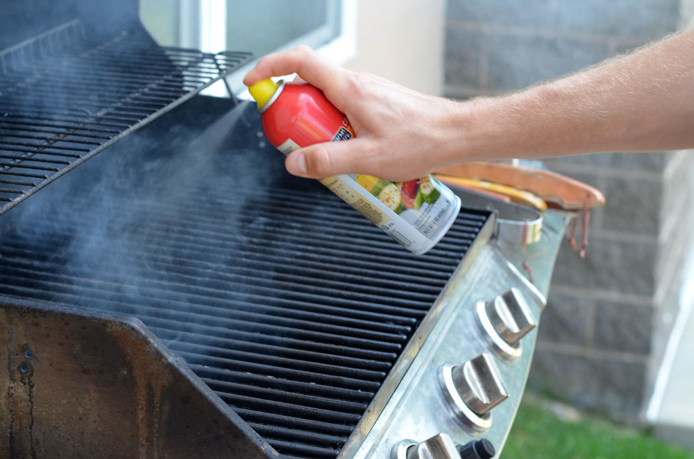 BBQ Rubbed Chicken Skewers